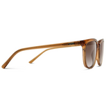 WMP Abner polarized sunglasses, chestnut brown/brown