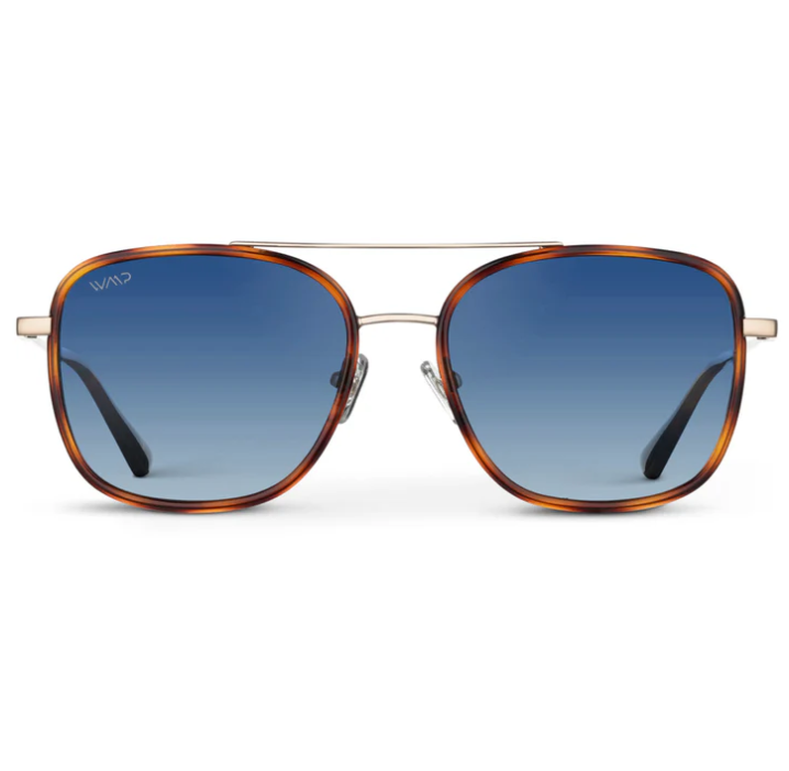 WMP Gia polarized sunglasses, brown/crystal cobalt