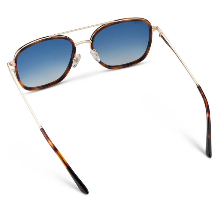 WMP Gia polarized sunglasses, crystal cobalt/brown