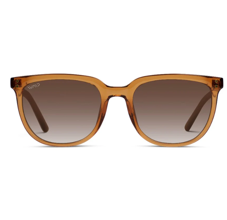 WMP Abner polarized sunglasses, crystal brown/brown gradient lens