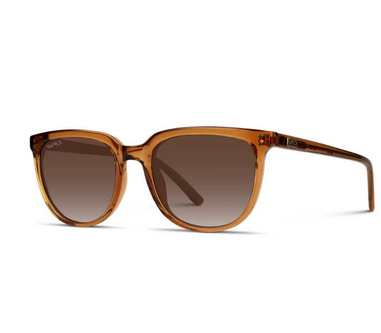 WMP Abner polarized sunglasses, crystal brown/brown gradient lens