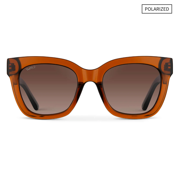WMP Stormi polarized sunglasses, crystal chestnut brown frames with brown gradient lenses