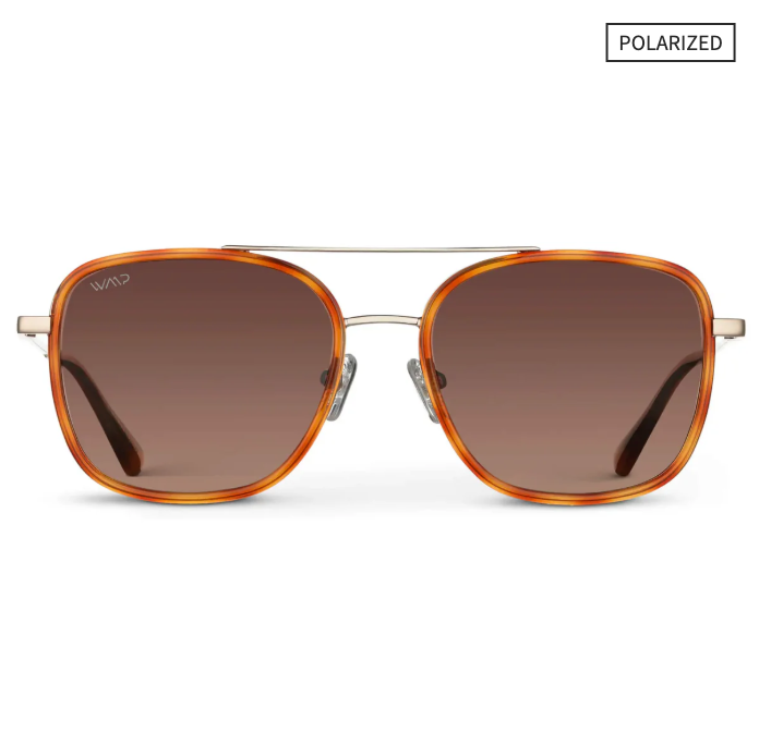 WMP Gia polarized sunglasses, sunset tortoise frame with gradient brown lenses