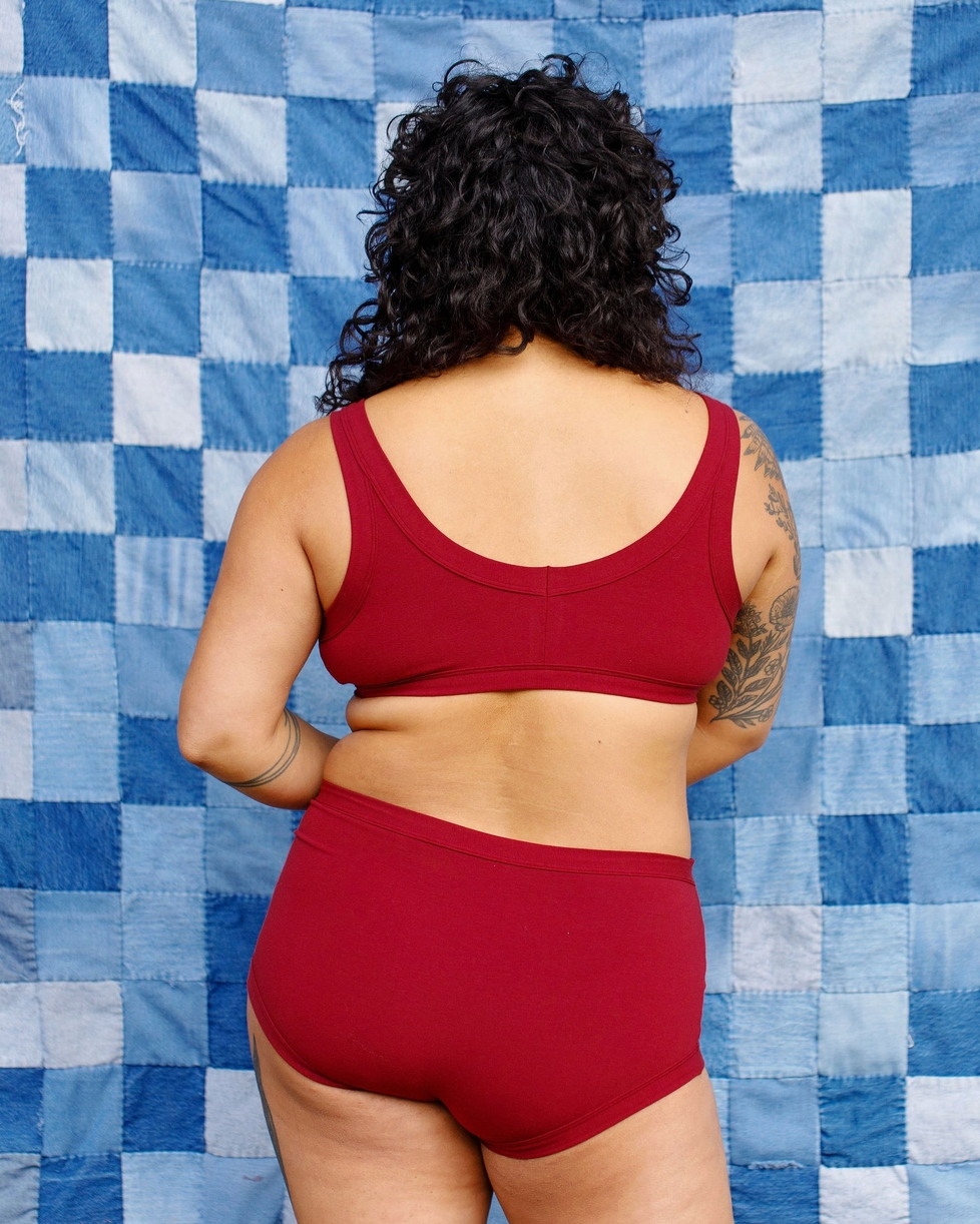 Thunderpants panties, Original Tuscan red solid