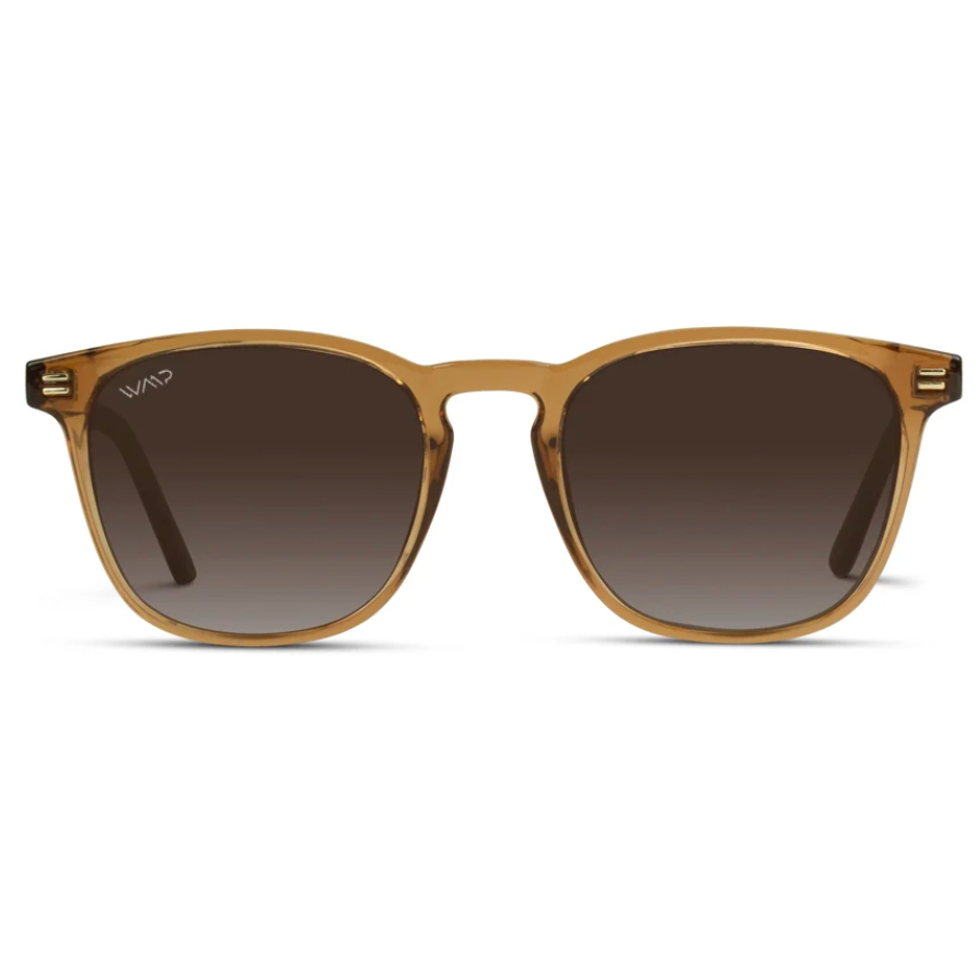 WMP Nick polarized sunglasses, crystal brown/brown