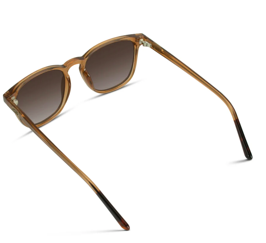 WMP Nick polarized sunglasses, crystal brown/brown