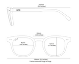 WMP Clark polarized sunglasses, saddlewood tortoise
