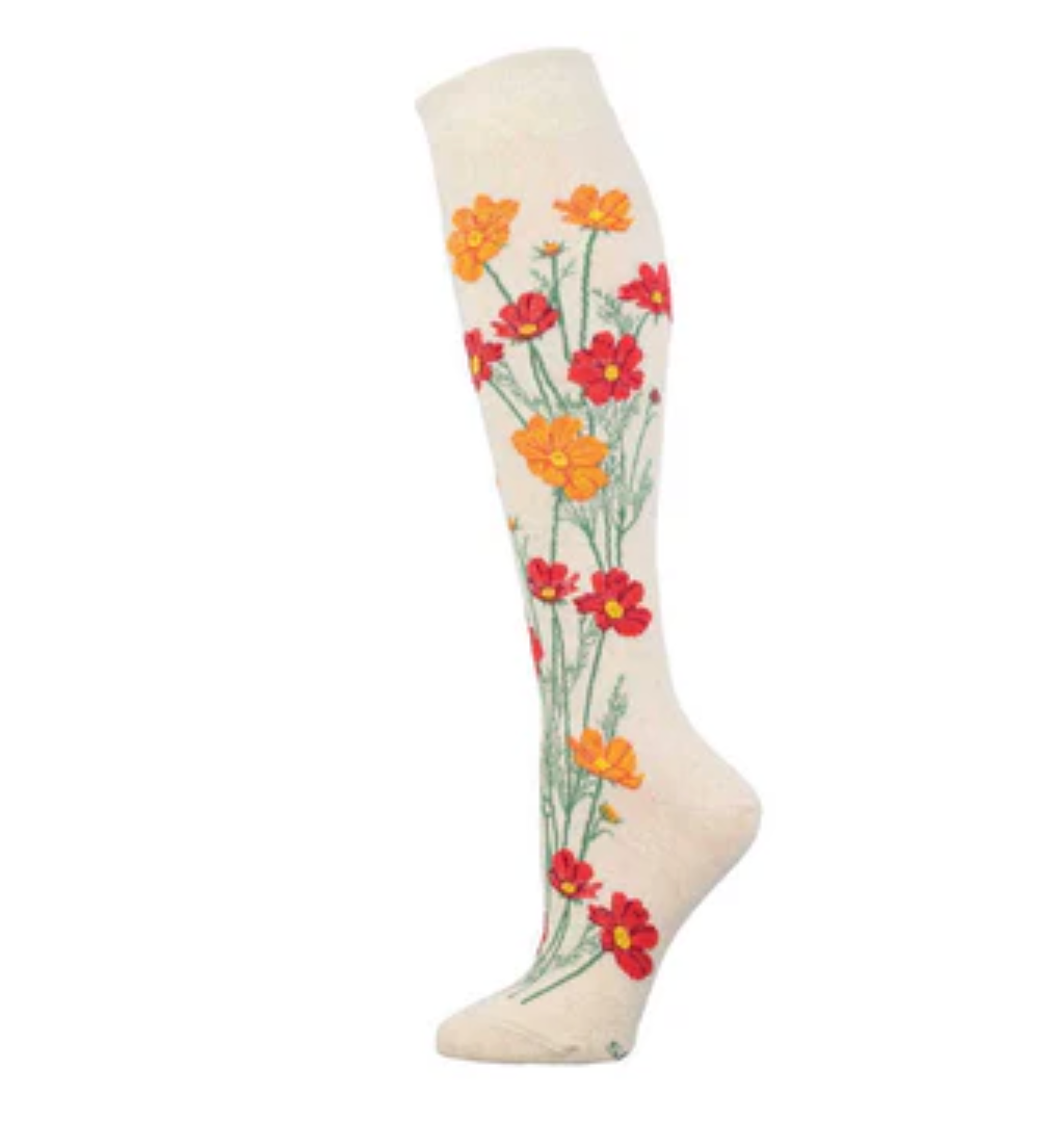 Socksmith graphic  cotton knee high, women's sizing